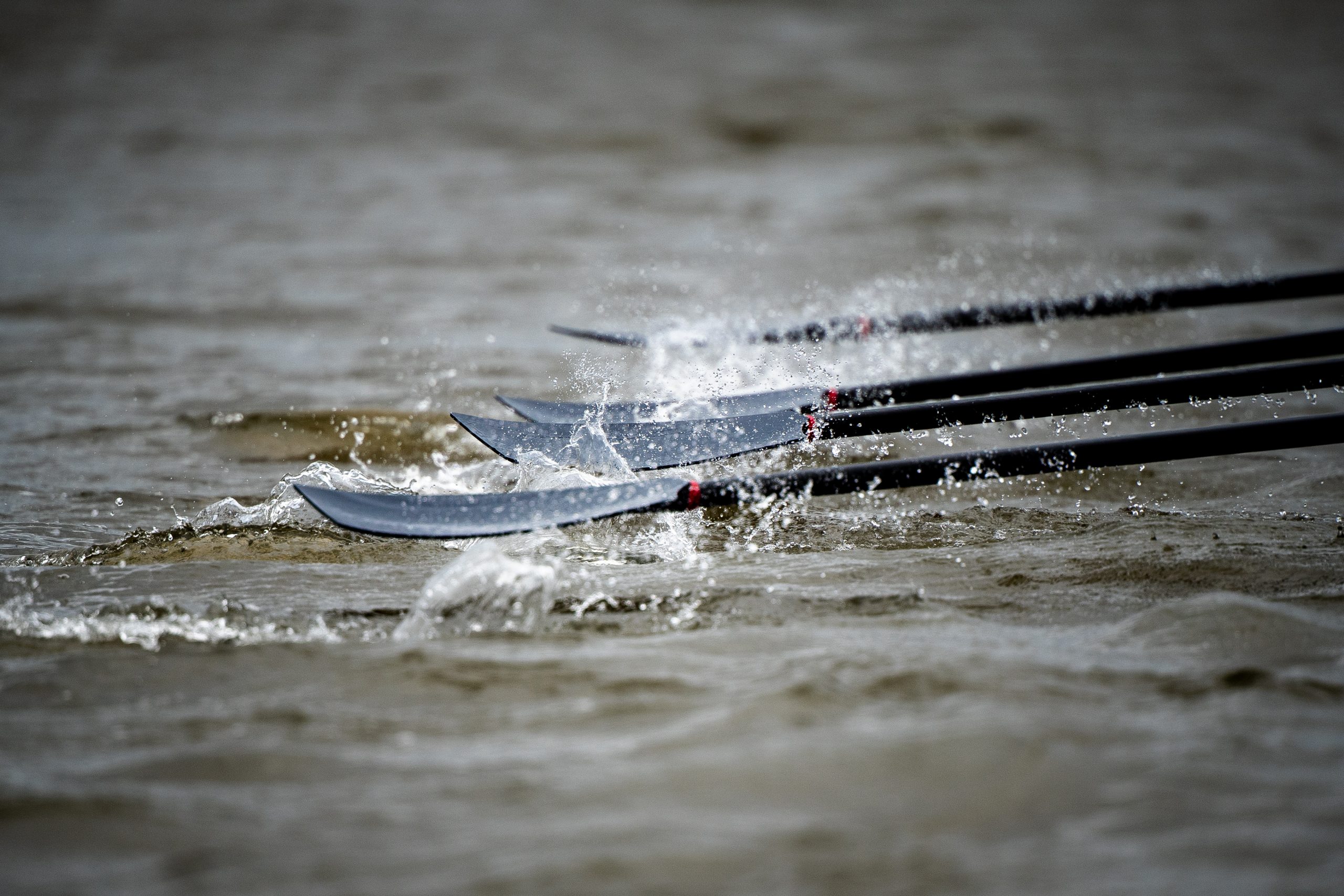 Be the first to receive the Official 2023 Gemini Boat Race Programme